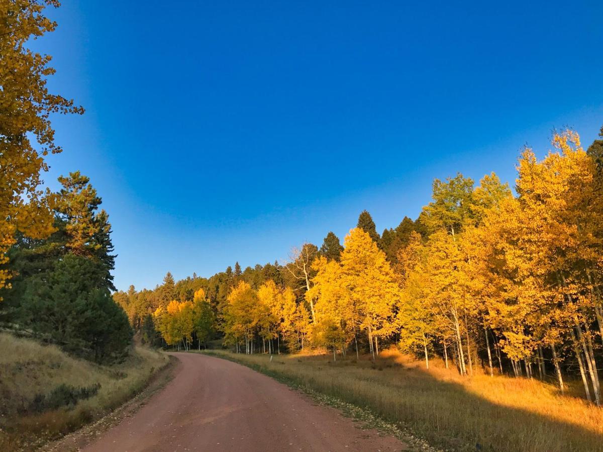 Pine Ridge - Memories Are Made Here! Florissant ภายนอก รูปภาพ